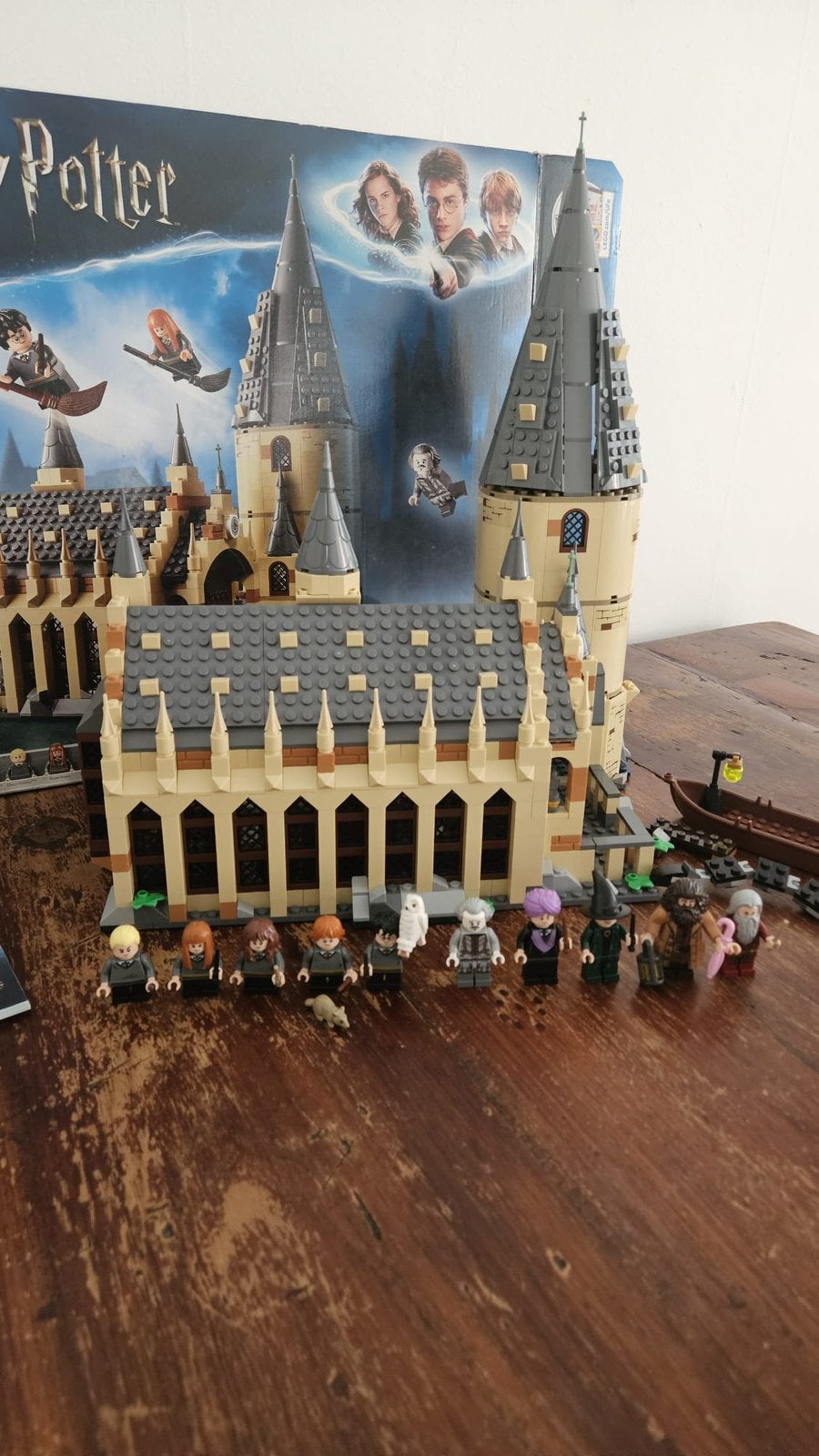 Harry Potter Kasteel 75954, Verzamelen, Ophalen of Verzenden, Zo goed als nieuw, Boek of Poster