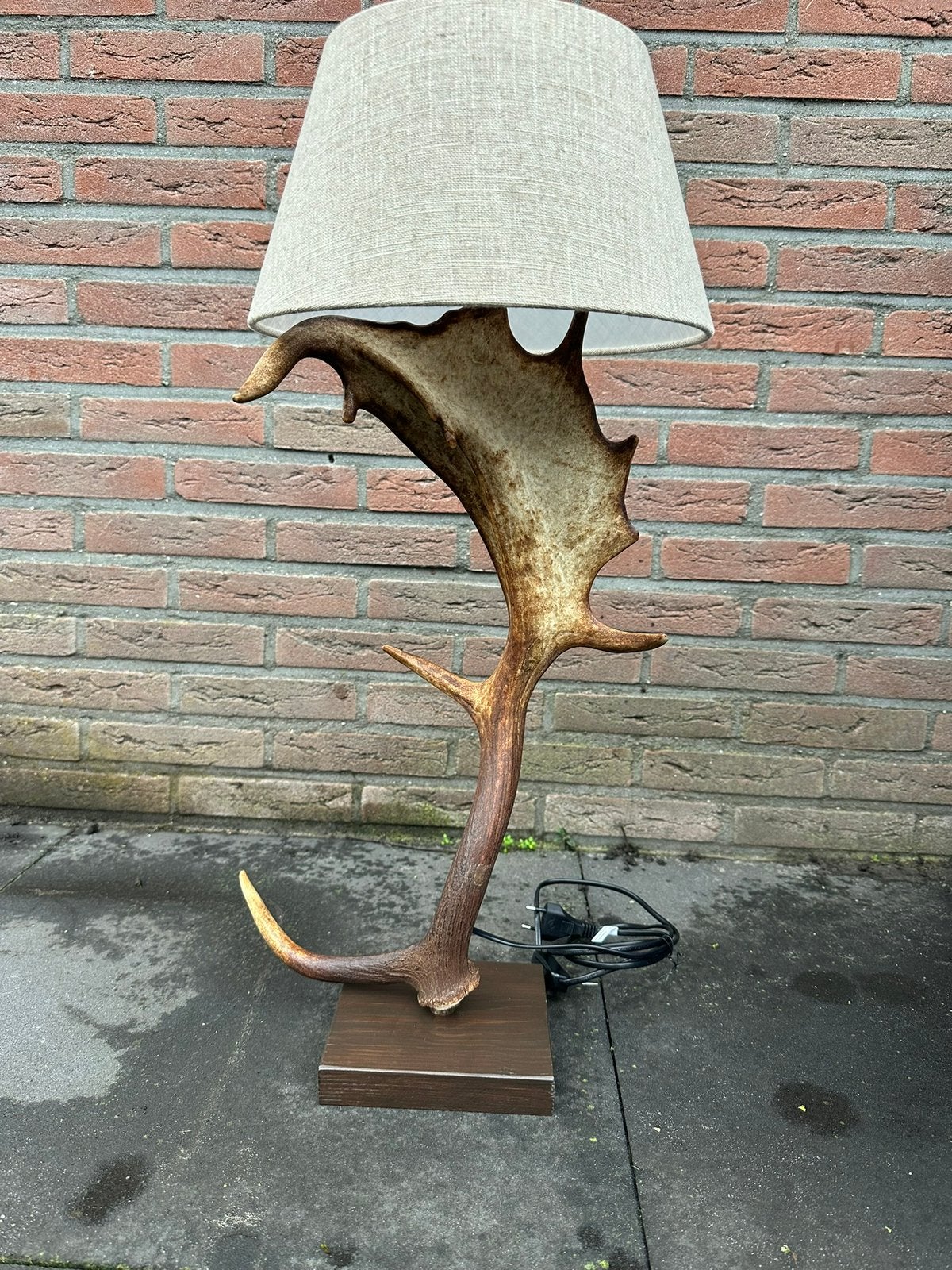 Geweilamp.schemerlamp.geweien.edelhert.damhert.tafellamp., Ophalen of Verzenden, Nieuw, 50 tot 75 cm