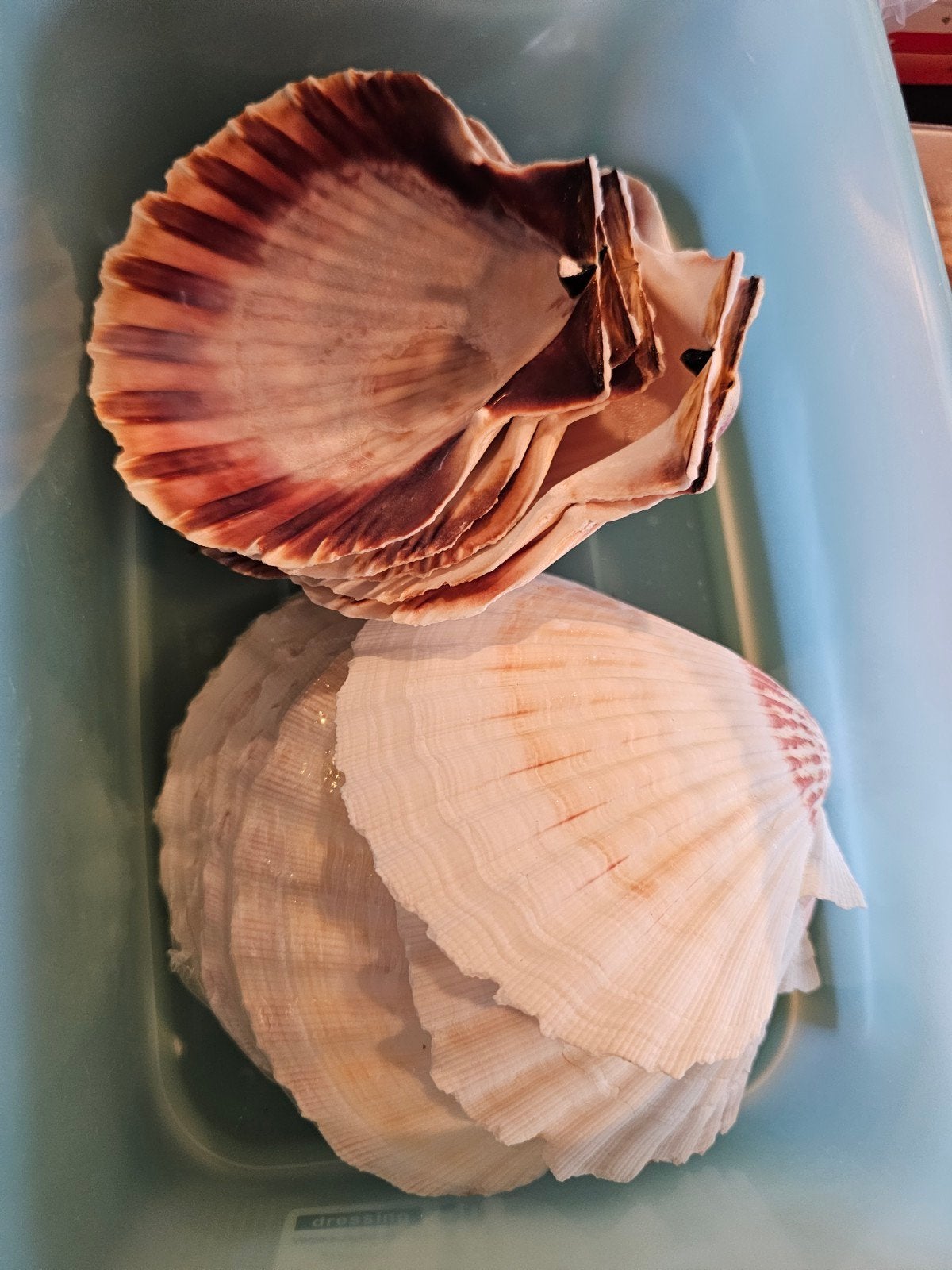 Verzameling prikkers e.a., Ophalen