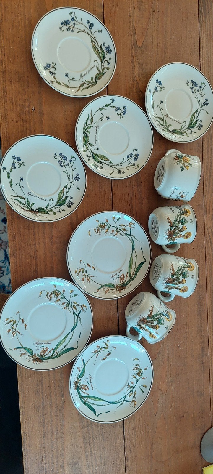 Botanica Villeroy & Boch 11 delig, Antiek en Kunst, Ophalen