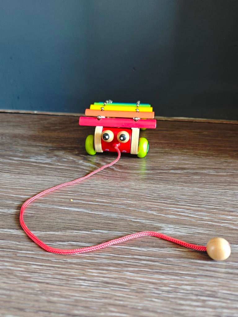 Houten xylofoon met trekkoord - Muzikaal speelgoed, Kinderen en Baby's, Speelgoed | Overig, Ophalen, Gebruikt, Jongen of Meisje