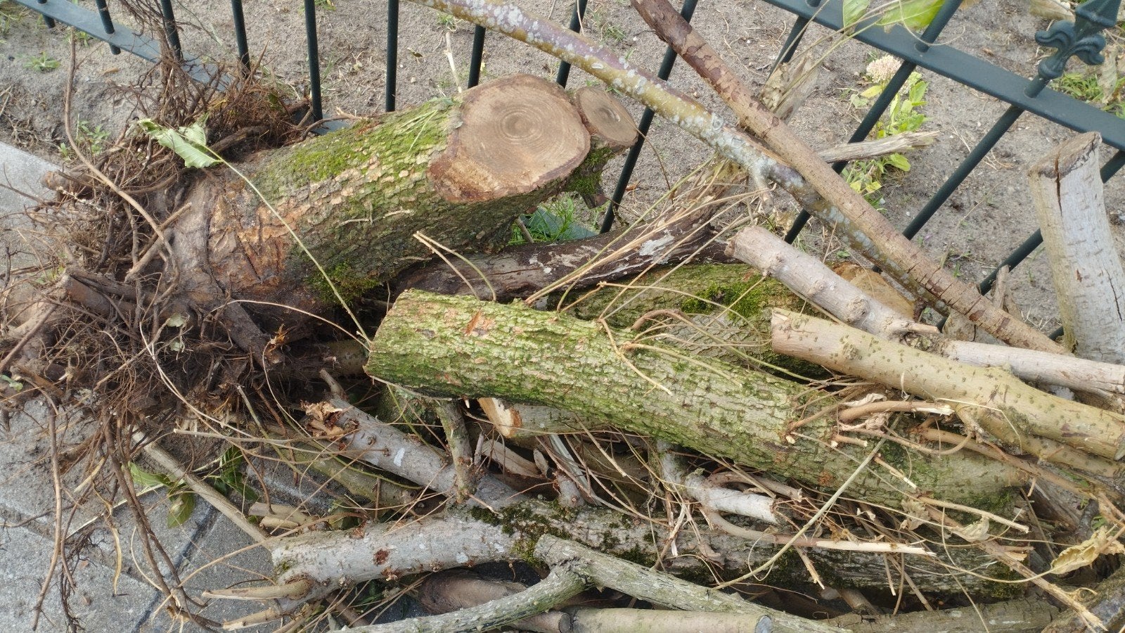 Diverse houtblokken en takken - Ideaal voor brandhout, Tuin en Terras, Haardhout, Minder dan 3 m³, Ophalen, Overige houtsoorten
