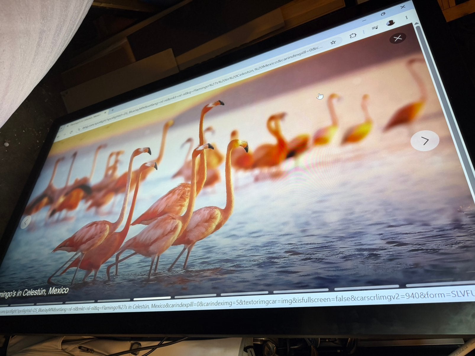 iIyama 65 inch touchscreen, Audio, Tv en Foto, Televisies, Gebruikt, 50 Hz, LCD, Ophalen