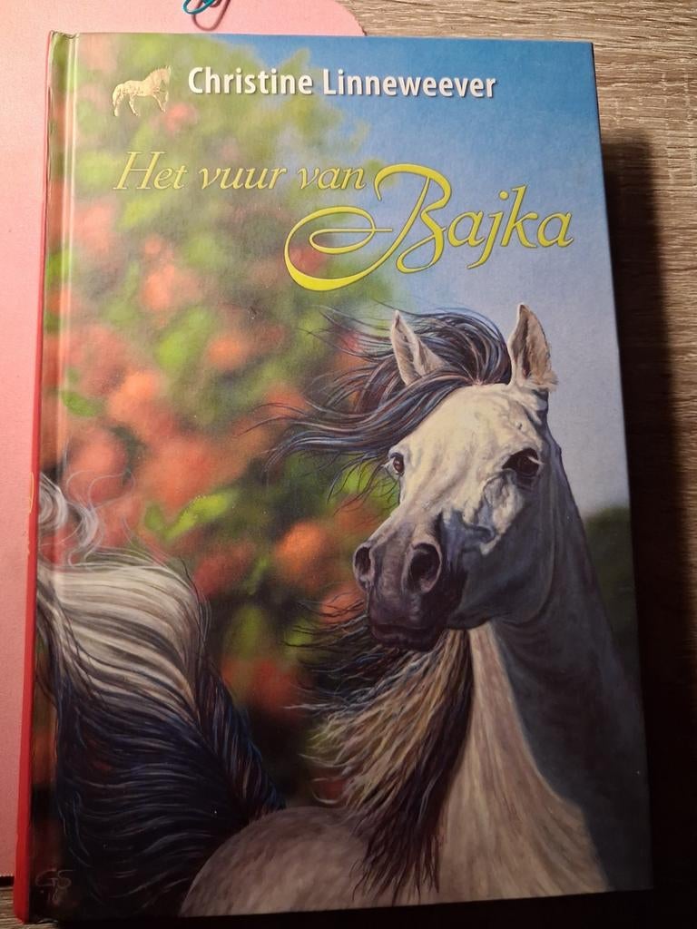 Boek Christine Linneweever, Boeken, Ophalen, Zo goed als nieuw, Christine Linneweever, Fictie