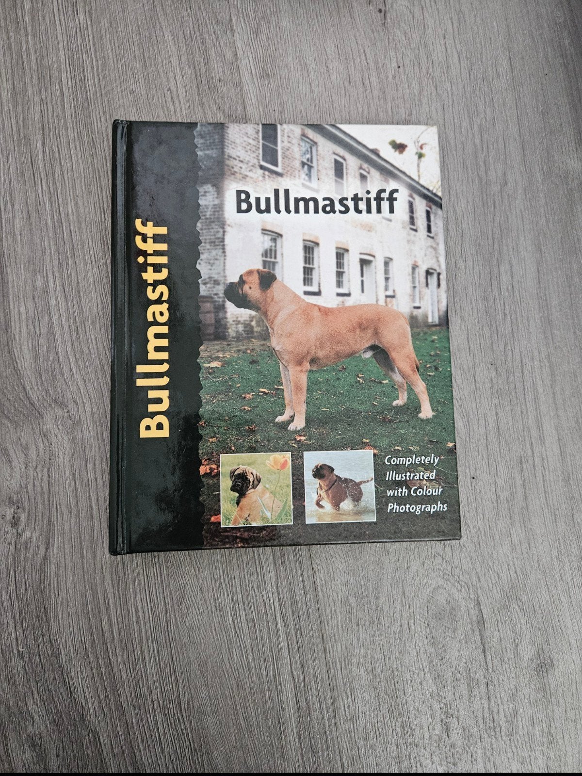 Bullmastiff boek - Engelstalig, Ophalen of Verzenden, Zo goed als nieuw, Honden, Vincent Lane Dorking