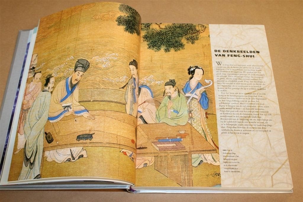 Geïllustreerde Encyclopedie Feng Shui — Complete Gids, Boeken, Ophalen of Verzenden, Gelezen, Interieur en Design