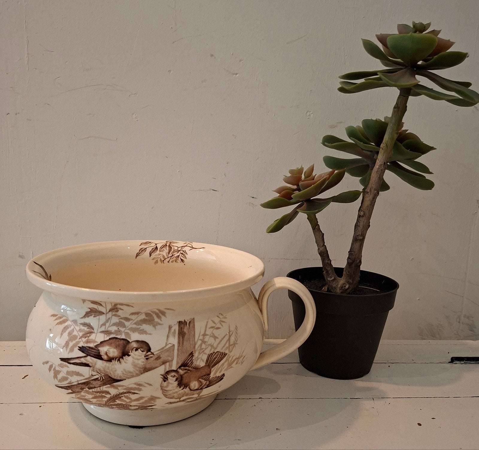 Po Nachtspiegel Pot de Chambre Plata, Ophalen, Rond, Aardewerk, Minder dan 40 cm