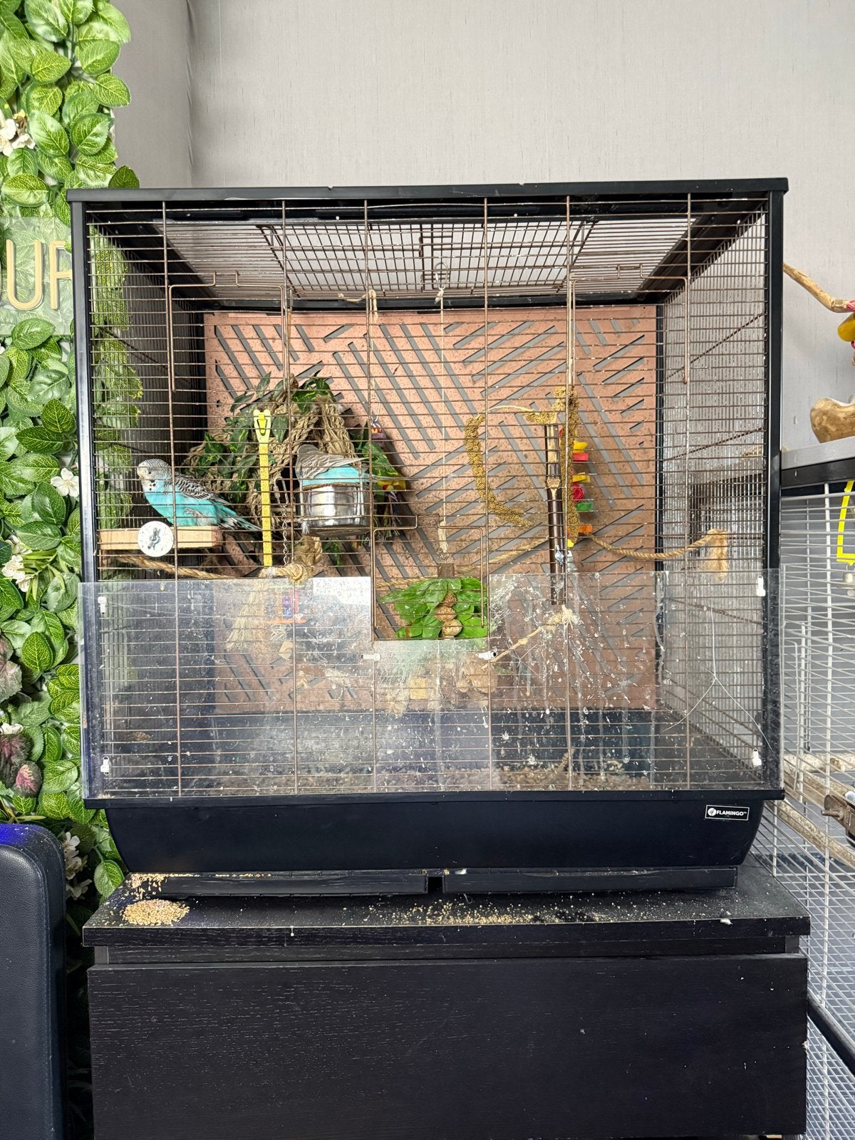 Vogel kooi zwart, Dieren en Toebehoren, Ophalen, Gebruikt, Metaal, Vogelkooi