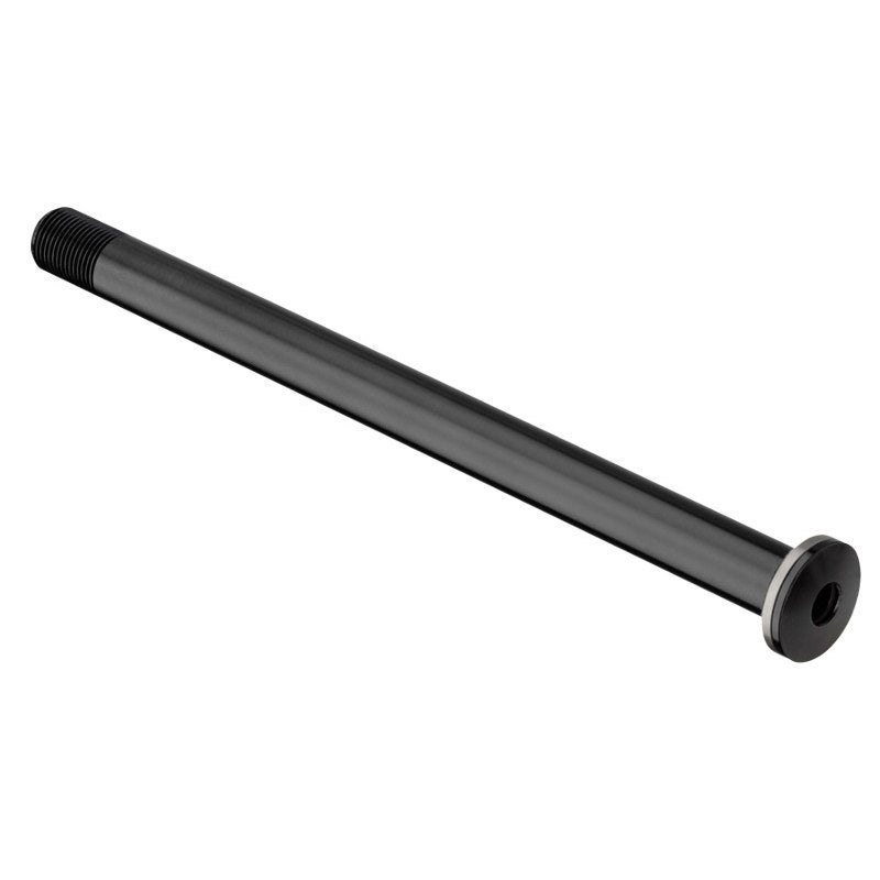 DT Swiss Plug In RWS E-Thru Road Steekas 12x100mm, Wiel, Nieuw, Ophalen of Verzenden, Aluminium