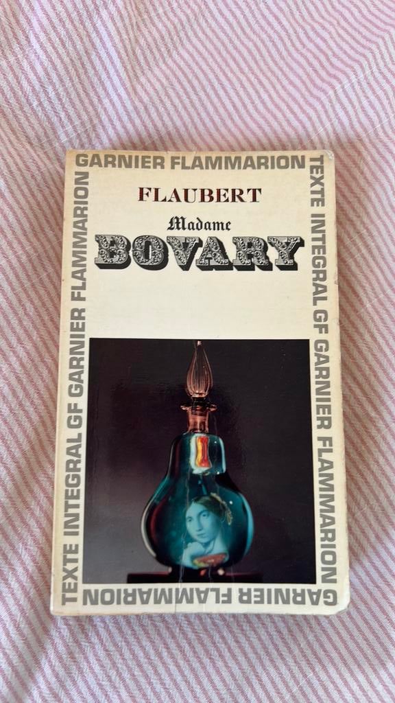 Madame Bovary- Gustave Flaubert, Ophalen of Verzenden, Gelezen, Europa overig
