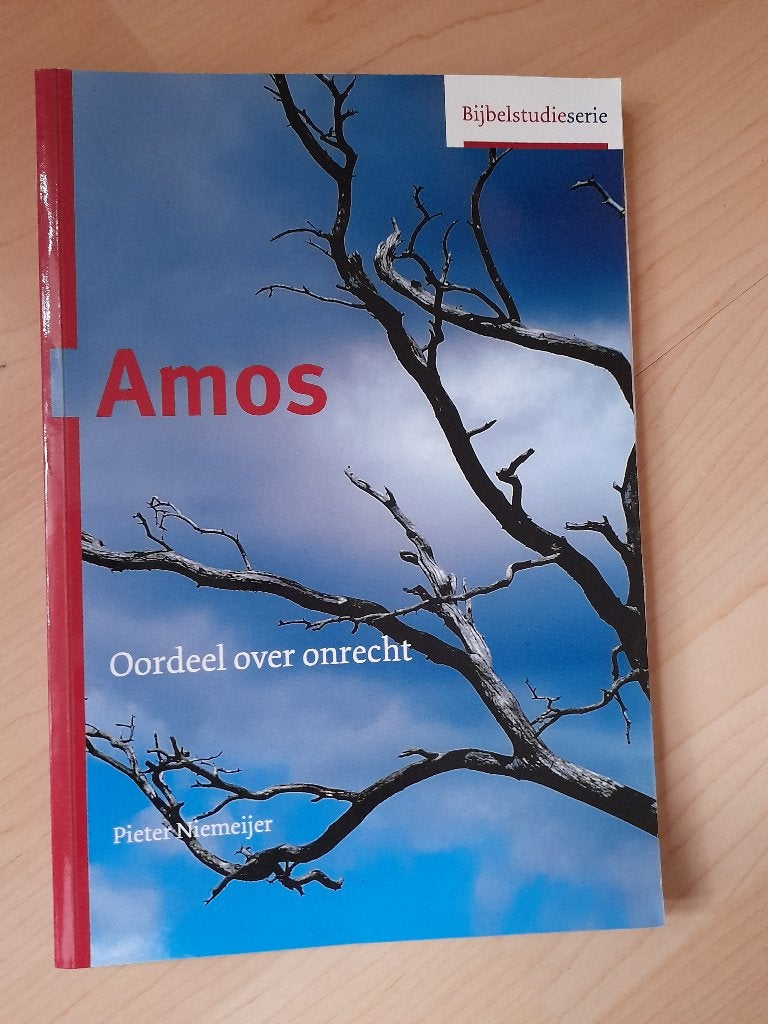 AMOS Pieter Niemeijer OORDEEL OVER ONRECHT Bijbelstudie, Ophalen of Verzenden, Zo goed als nieuw