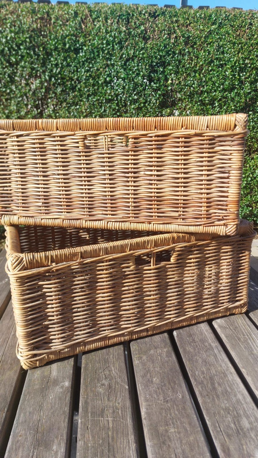 2 Manden, Huis en Inrichting, Woonaccessoires | Schalen en Manden, Ophalen, Rechthoekig, Riet, Mand