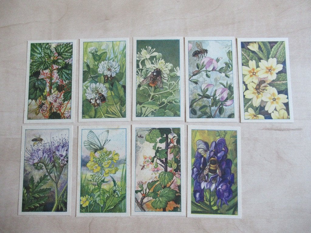 9 Losse plaatjes Verkade album De Bloemen en haar vrienden, Ophalen of Verzenden, Gelezen, Plaatjesalbum
