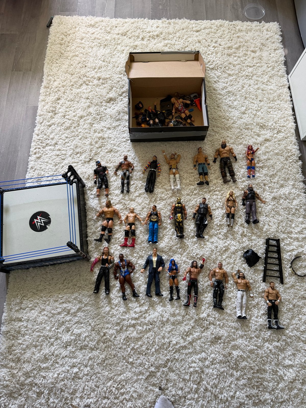 Grote collectie WWE actiefiguren en ring, Kinderen en Baby's, Ophalen of Verzenden, Gebruikt