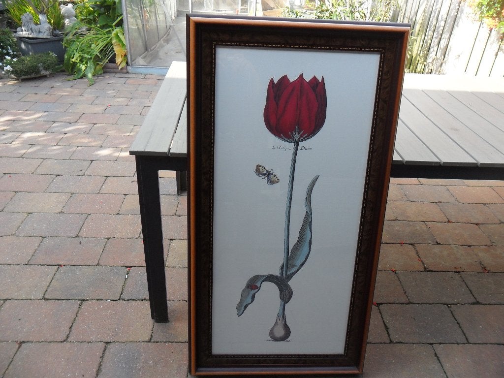 Groot wanddecoratie Tulp, Ophalen, Zo goed als nieuw, Achter glas, Decoratieobject