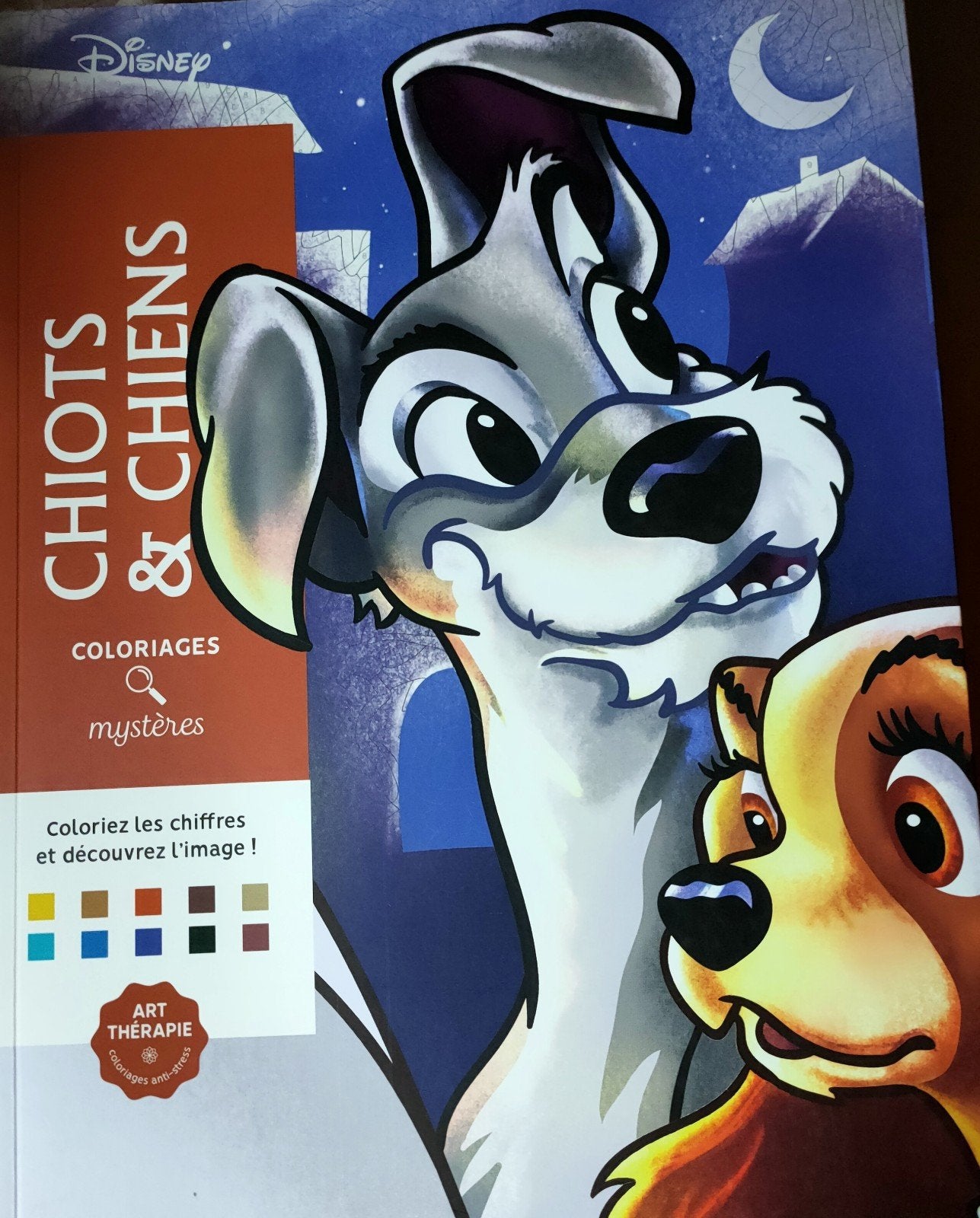 Kleuren Op Nummer Disney (Art Therapie) 2X, Ophalen of Verzenden, Gebruikt, Papier, Schets- of Tekenboek
