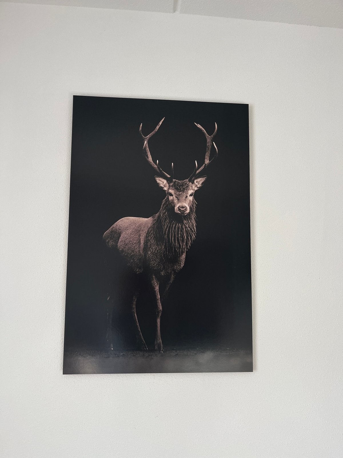 Grote plaat hert 90x60 cm zwart (ook leuk voor kerst), Ophalen, Gebruikt, Print, 75 – 100