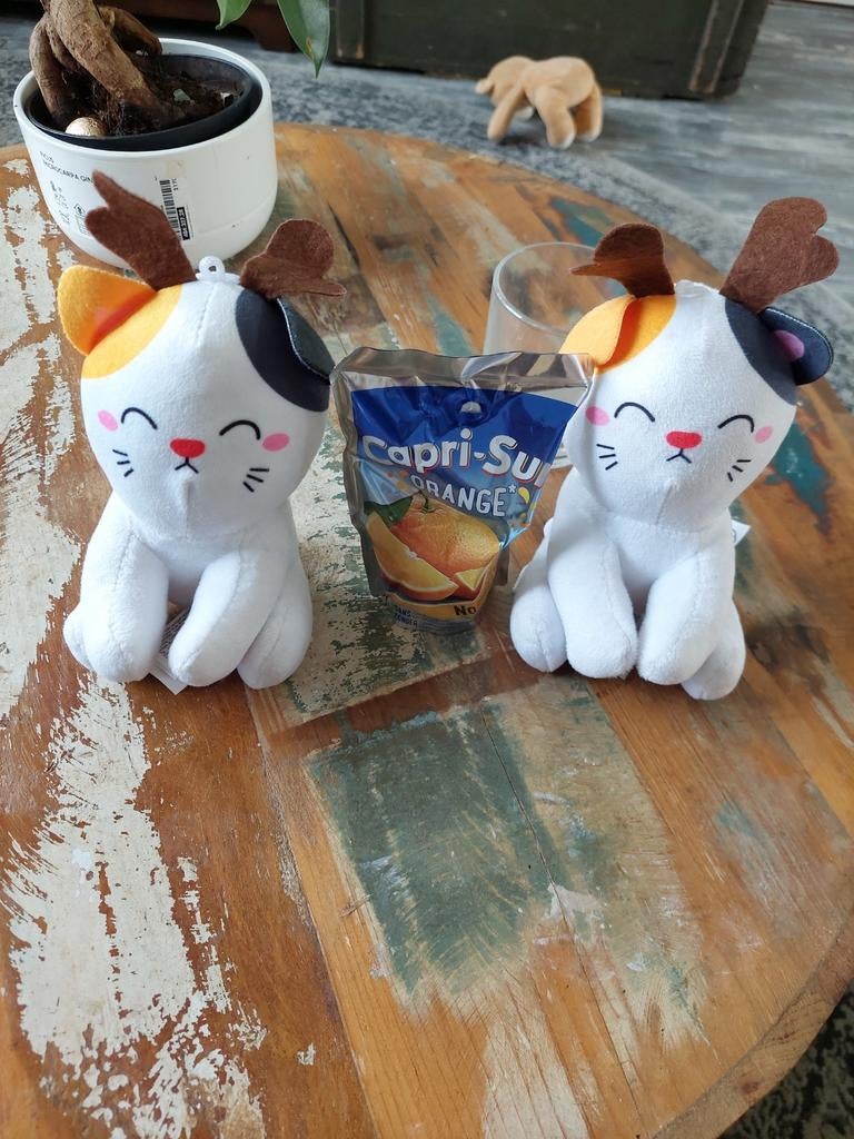 Kawaii Kuties katjes knuffels, Ophalen of Verzenden, Nieuw