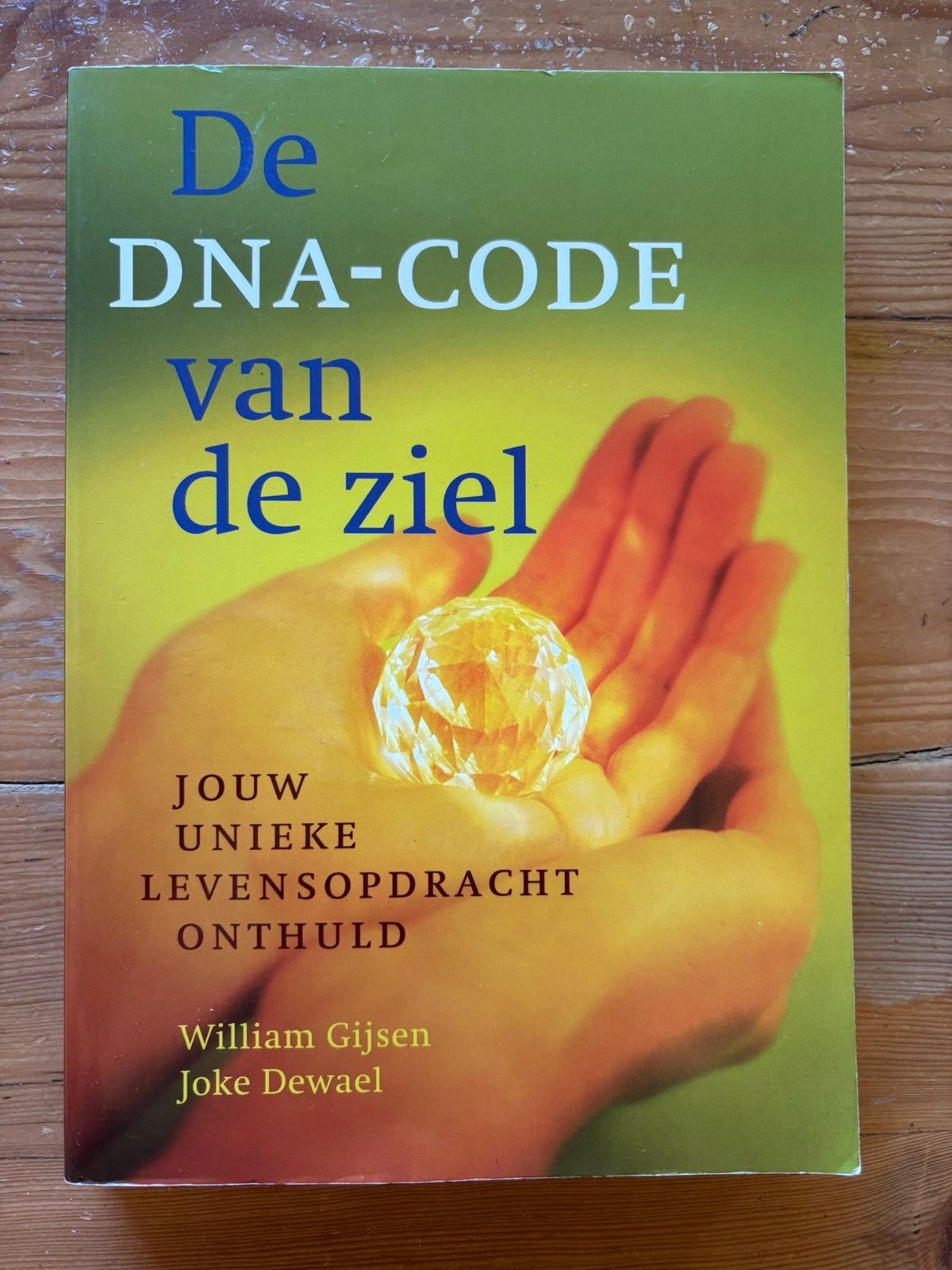 J. Dewael & W Gjsen - De DNA-code van de ziel, J. Dewael; W. Gijsen, Achtergrond en Informatie, Spiritualiteit algemeen, Ophalen of Verzenden