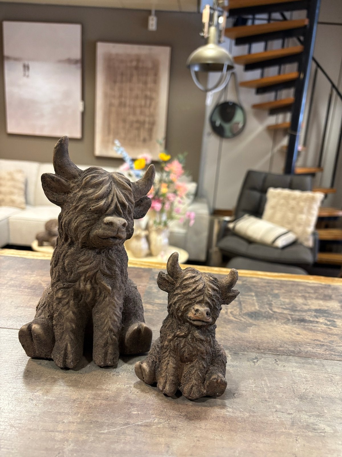 Leuke Schotse hooglanders, Dracht 39, Ophalen of Verzenden, Landelijk, Happinessbyfemke@gmail.com
