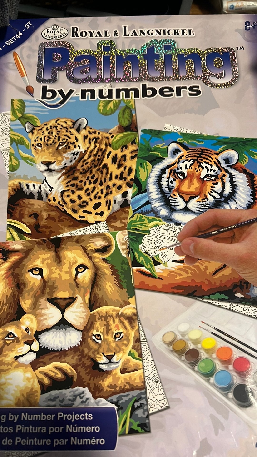 Painting by numbers (8+) : 3 projecten leeuw en tijgers, Ophalen, Nieuw, Schilderen op nummer