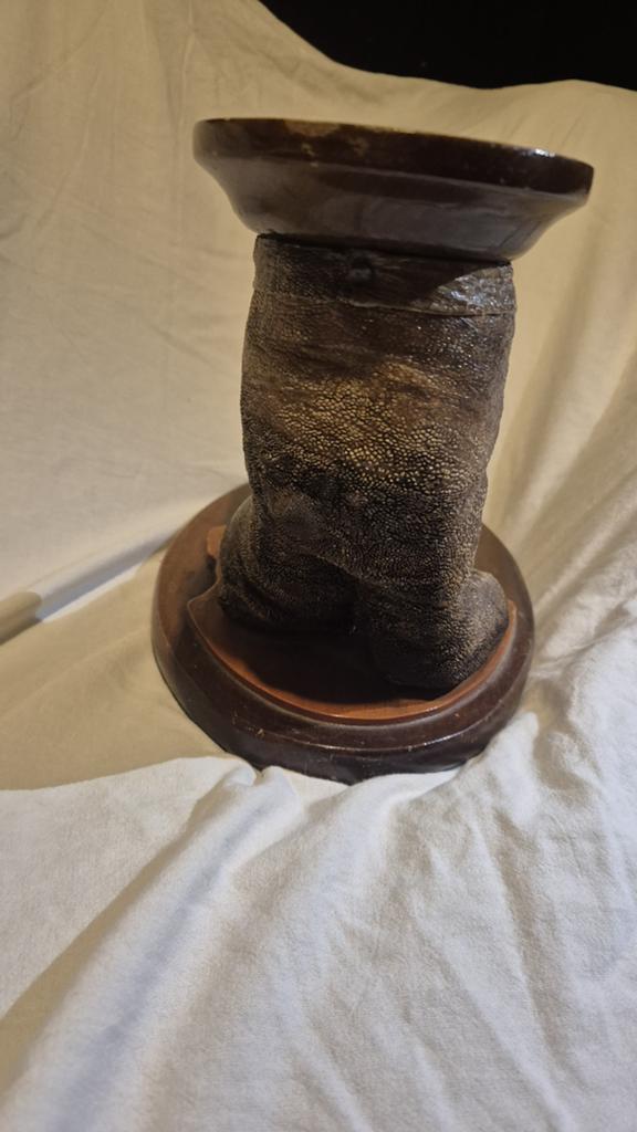 Struivogelpoot, Ophalen of Verzenden, Zo goed als nieuw, Paard, Beeldje of Figuurtje