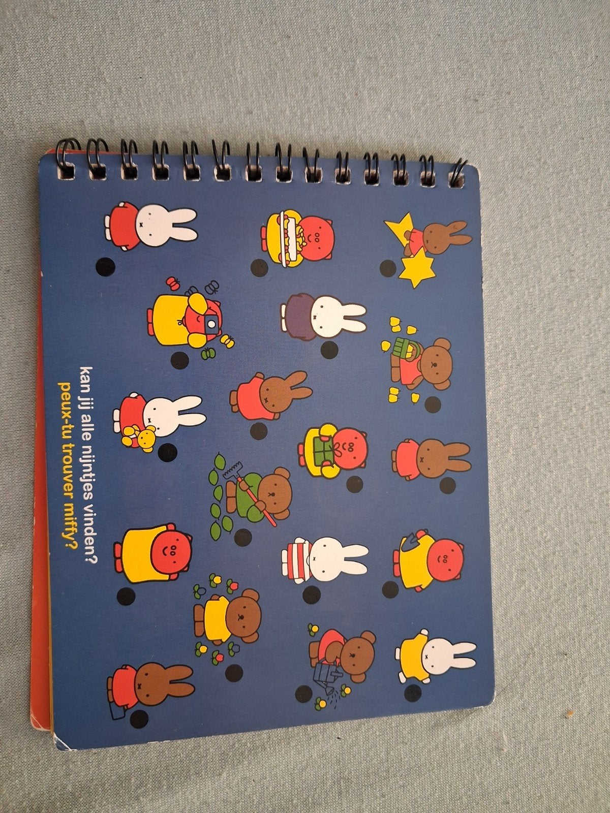 Nijntje Zoek en Vind Spelboek met Magische Pen, Ophalen of Verzenden, Gebruikt, Taal en Lezen
