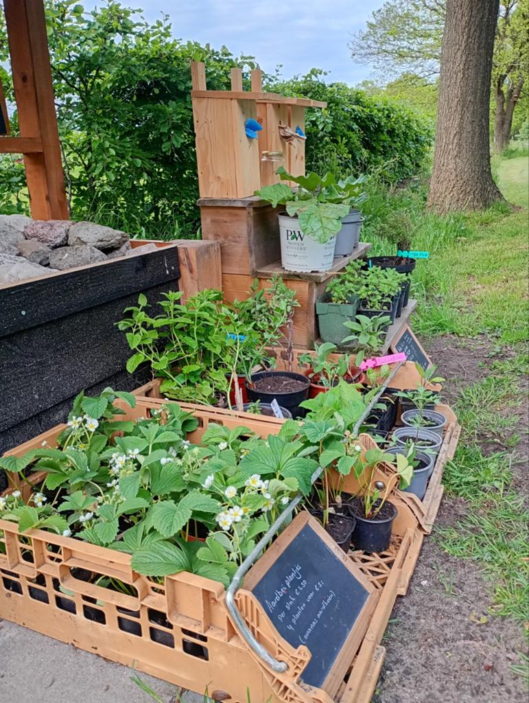 Moest, kruidentuin plantjes en vogelhuisjes, Tuin en Terras, Ophalen, Nieuw, Rond, Minder dan 30 cm