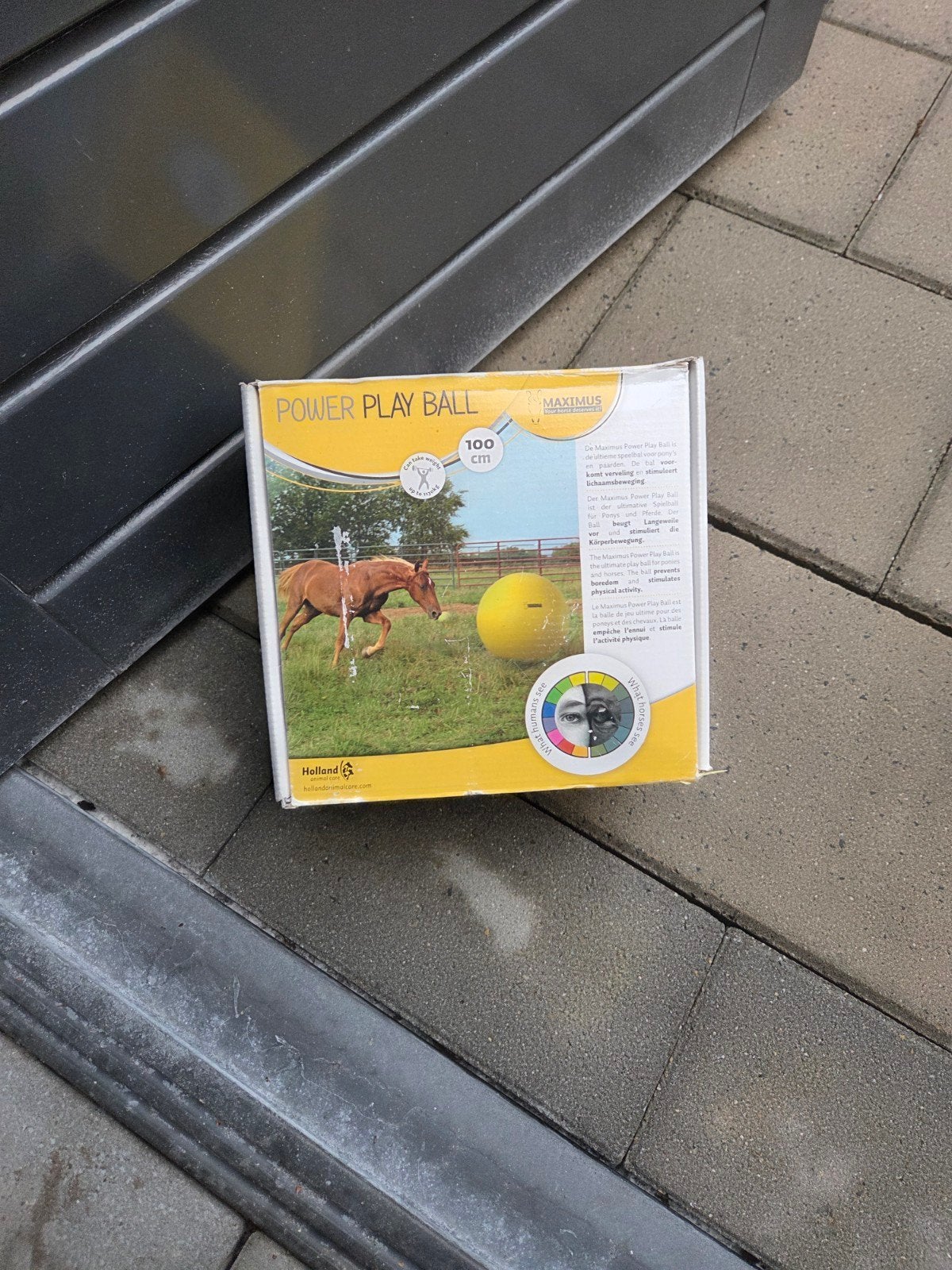 Speelbal, Dieren en Toebehoren, Ophalen of Verzenden, Nieuw, Overige soorten