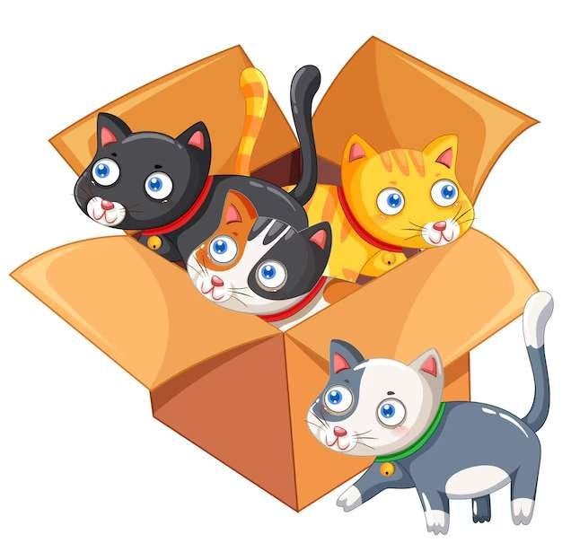 Gezocht katten benodigheden, Dieren en Toebehoren, Ophalen, Gebruikt