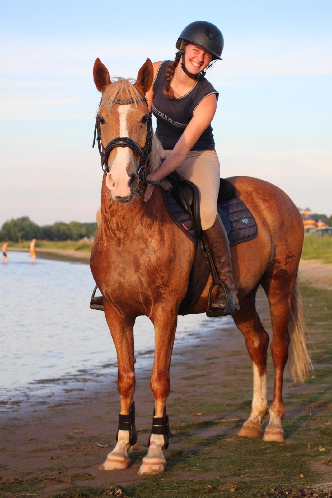 Super leuke en lieve merrie 5 jr, Merrie, Minder dan 160 cm, Met stamboom, B