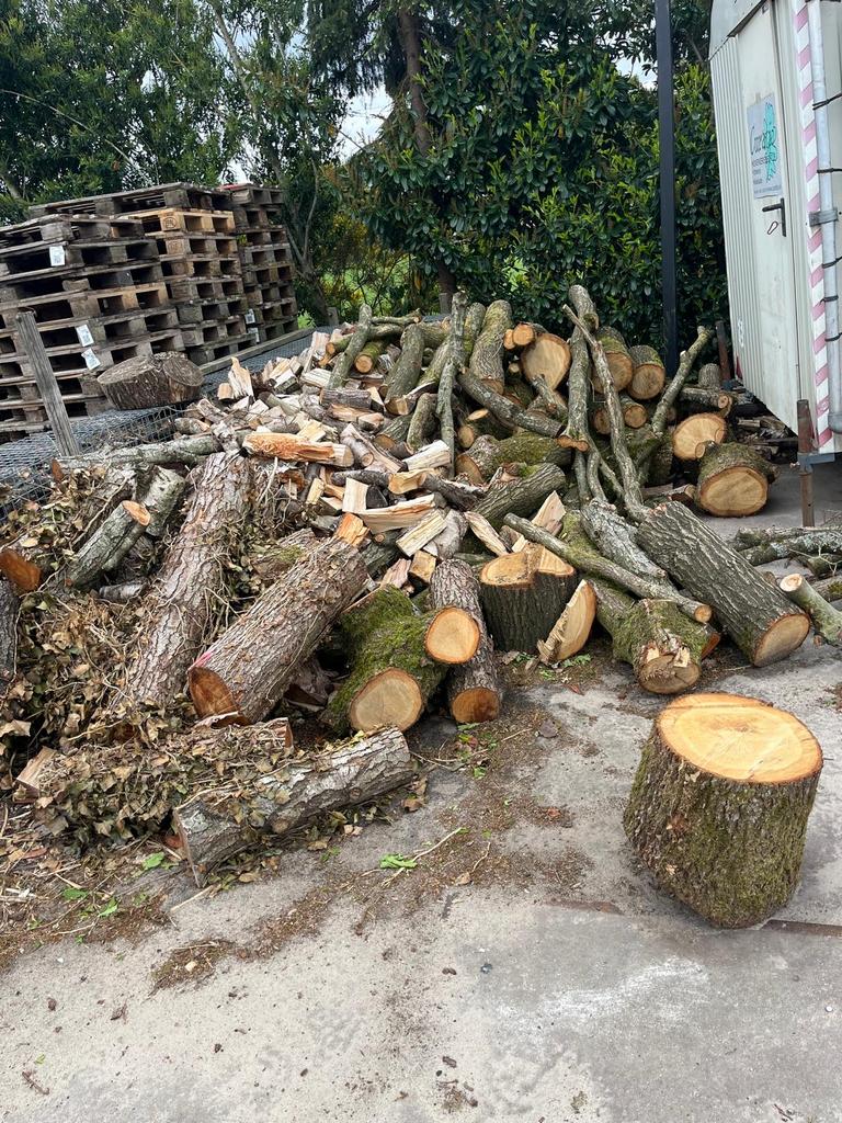 Ca. 5m³ brandhout, deels gekloofd, Tuin en Terras, Haardhout, 3 tot 6 m³, Ophalen, Overige houtsoorten, Blokken