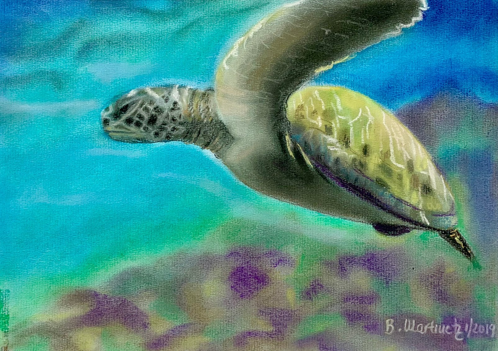 ‘Schildpad in oceaan’, pastelkrijttekening, Pastel, Papier/karton, Dieren, Gesigneerd