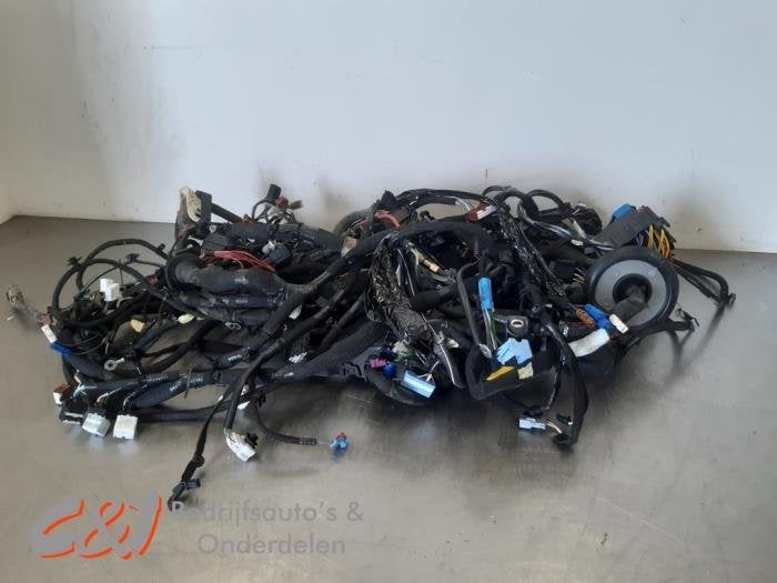 Kabelboom van een Renault Trafic, Gebruikt, -, Renault, -