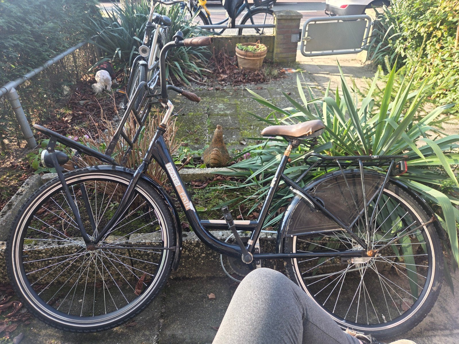 Degelijke trans du pain meisjes fiets met lage instap, Terugtraprem, Batavus, Ophalen of Verzenden, 53 tot 56 cm