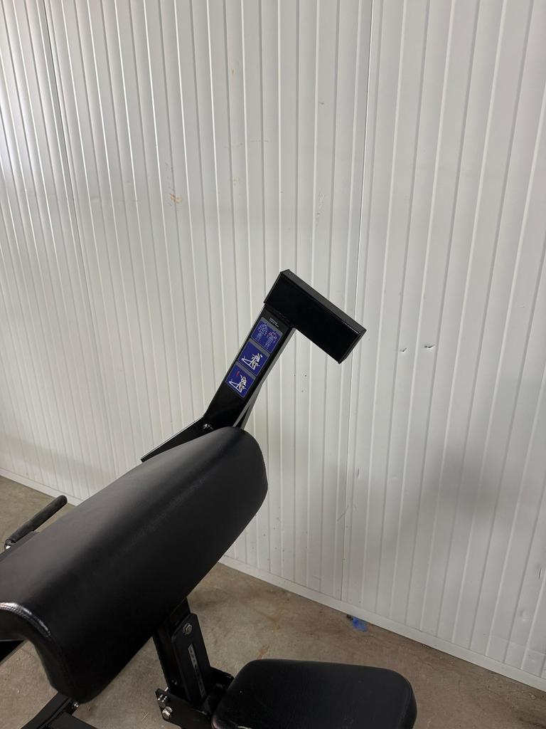 Athletic Performance Tricep dip/ Bicep curl/ 2 machines, Ophalen, Gebruikt, Overige typen, X