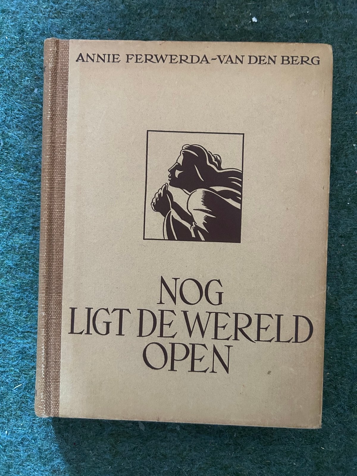 Nog Ligt De Wereld Open - Annie Ferwerda-van den Berg, Boeken, Romans, Ophalen of Verzenden, Gelezen, Nederland