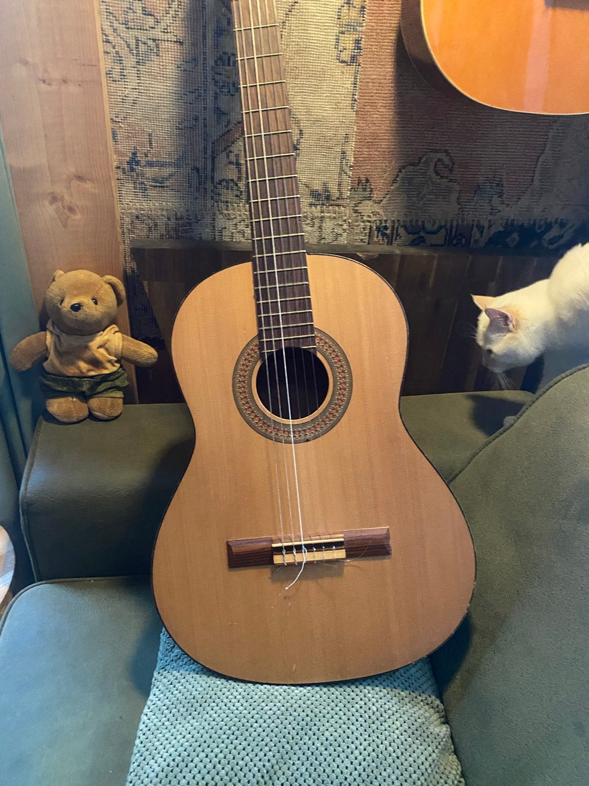 Mooie akoestische gitaar, warme klank!, Ophalen, Gebruikt, Klassieke of Spaanse gitaar