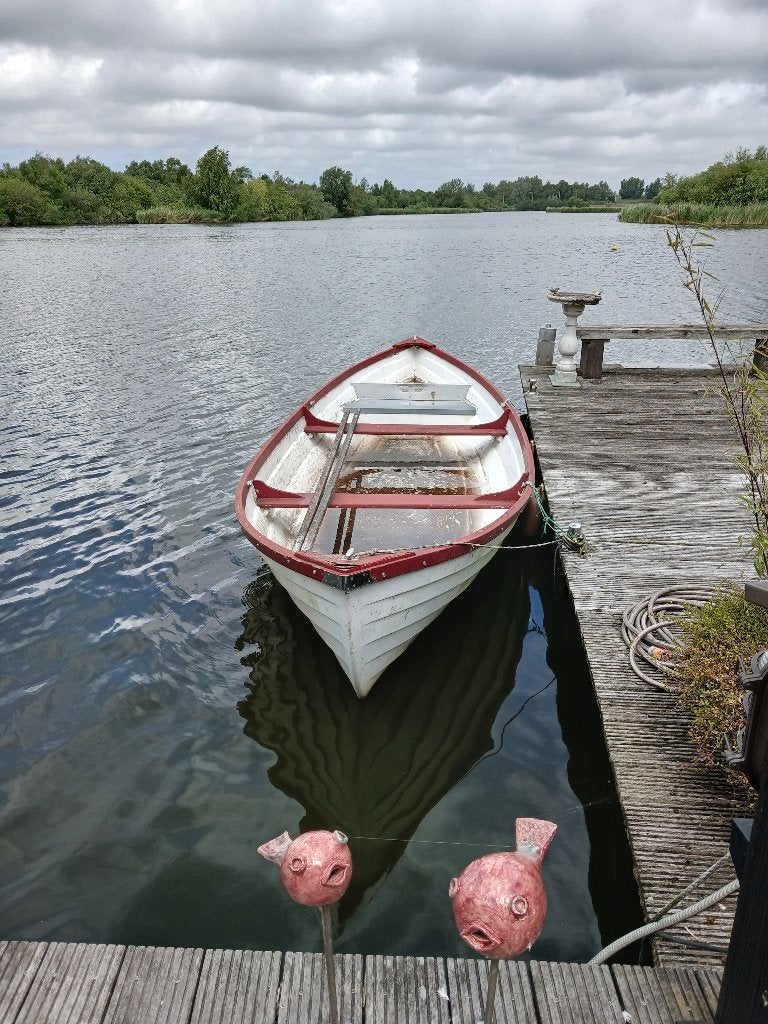 Visboot, Ophalen, Gebruikt, Polyester, Buitenboordmotor