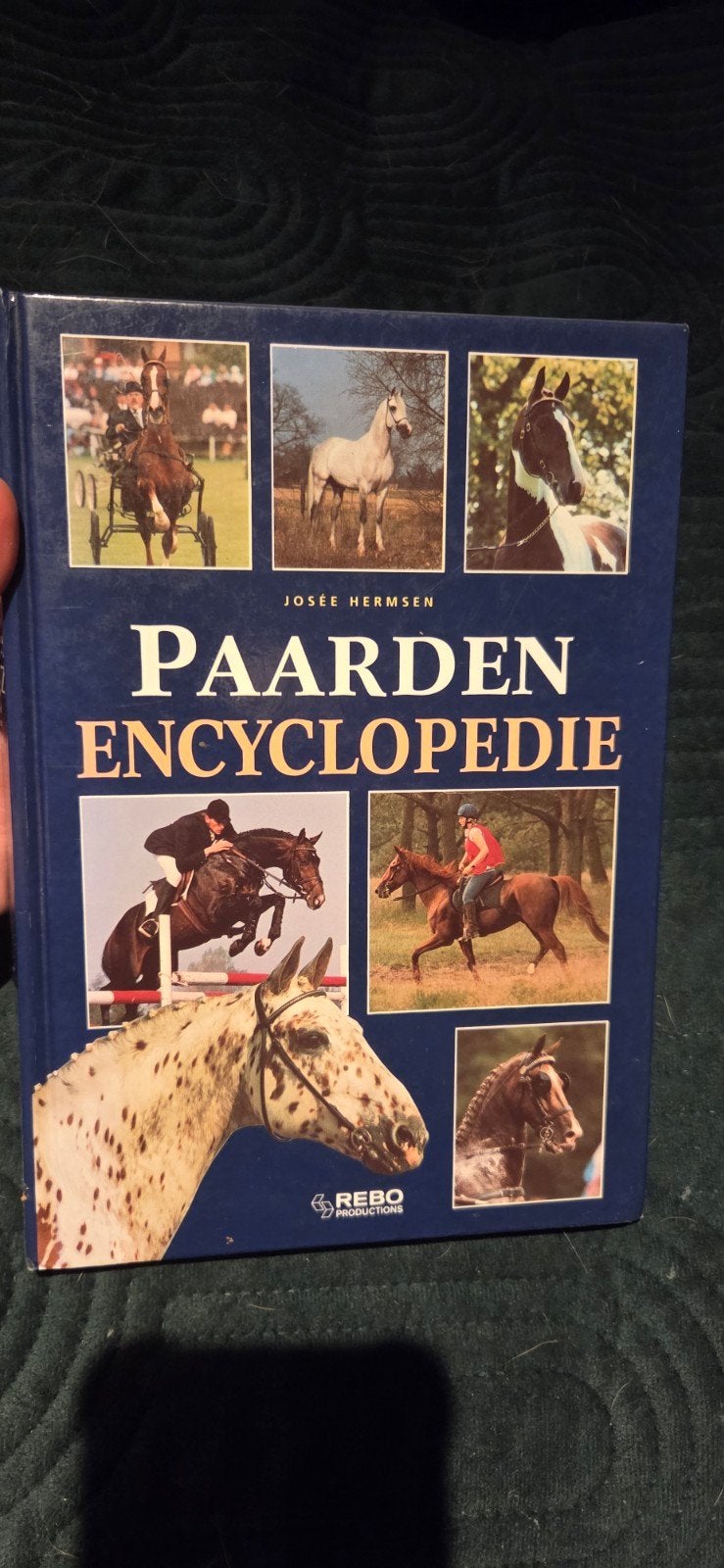 J. Hermsen - Paarden encyclopedie, Boeken, Ophalen of Verzenden, Zo goed als nieuw, J. Hermsen, Paarden of Pony's