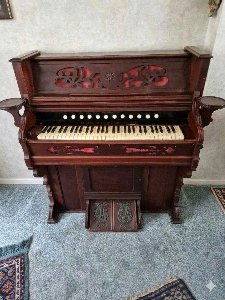 Antiek Chicago Cottage Harmonium, Ophalen, Gebruikt, 1 klavier, Harmonium