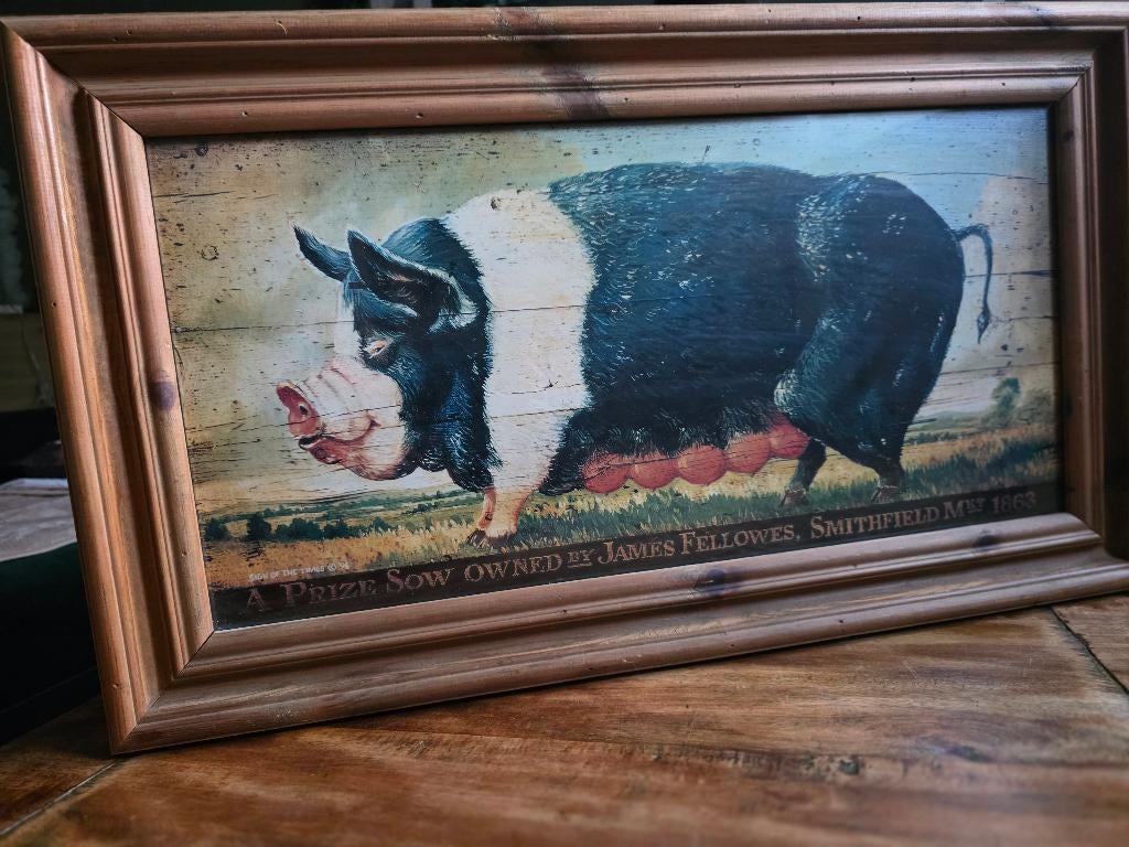 Prize Black Sow - Sean Aherne, Ophalen