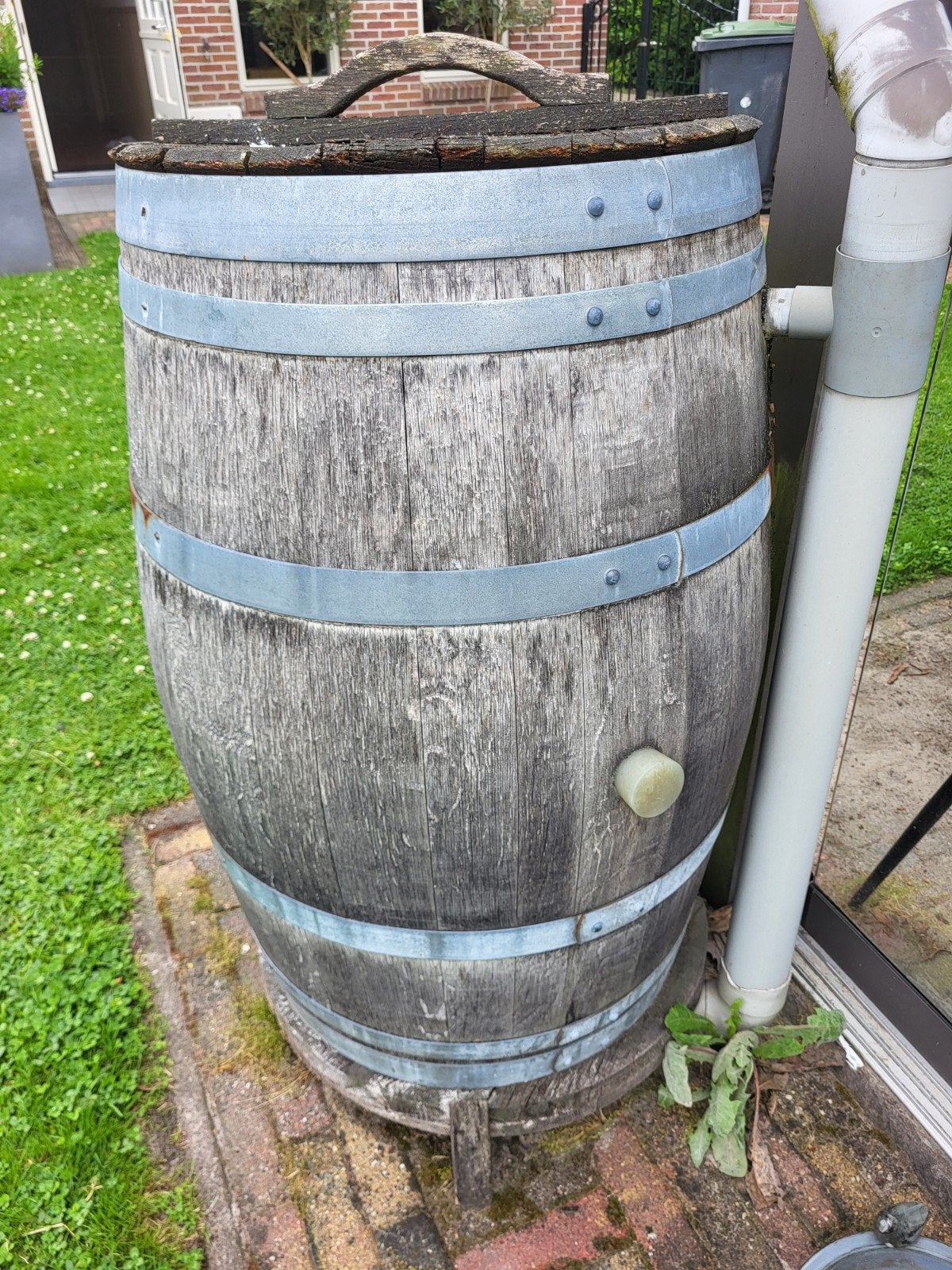 Regenton van houten wijnvat met deksel, Tuin en Terras, Regentonnen, 150 liter of meer, Ophalen, Gebruikt, Hout