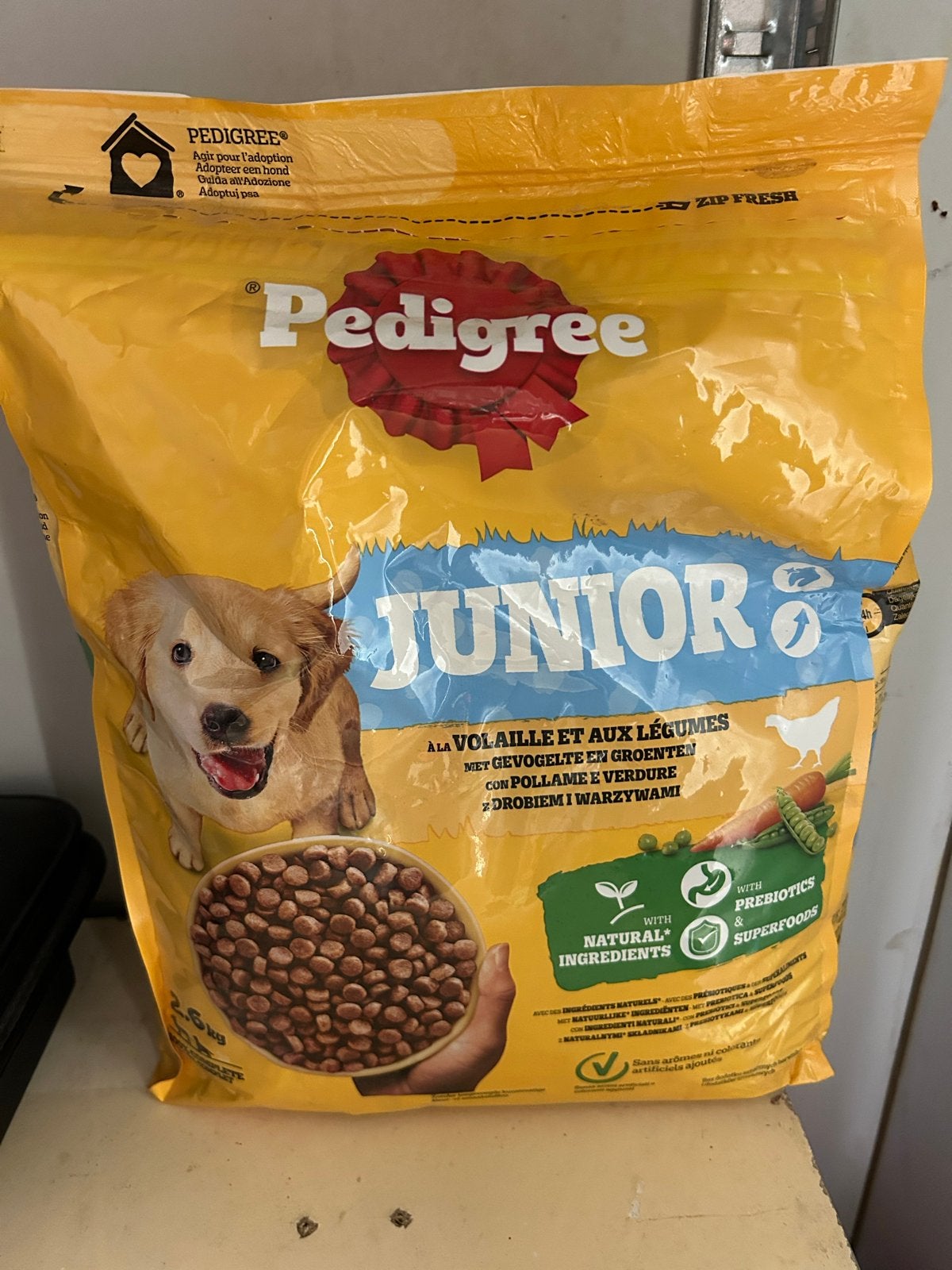 Tekoop pedigree junior broken, Dieren en Toebehoren, Ophalen of Verzenden, Hond