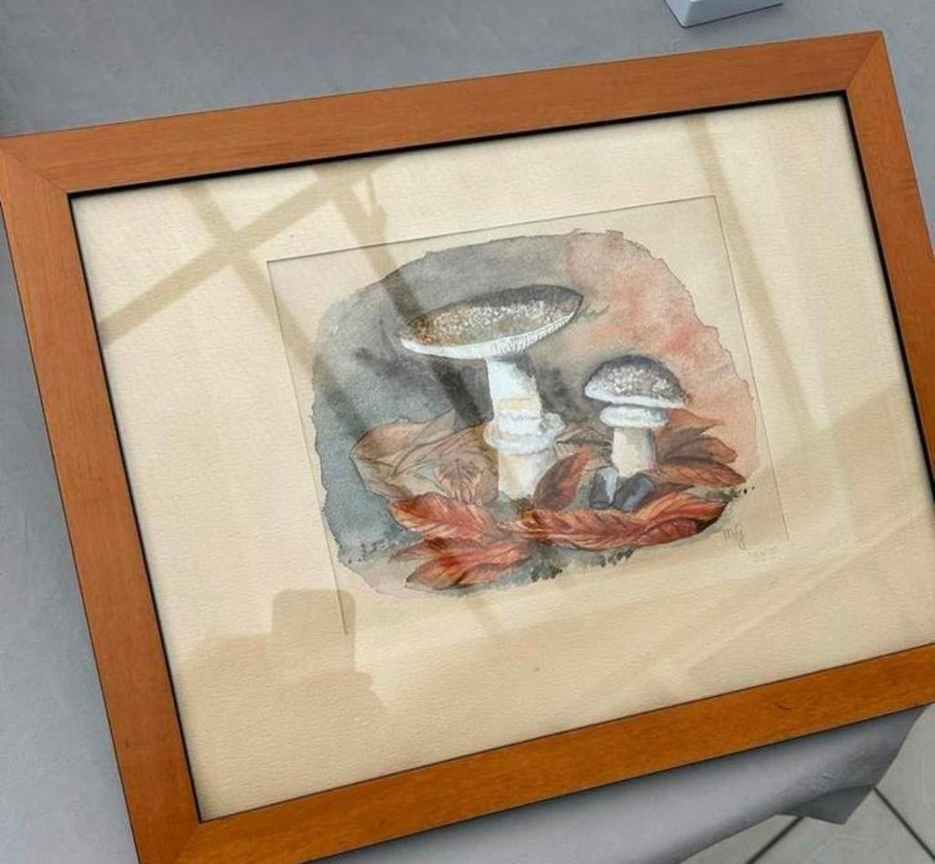 Aquarel Schilderij van Paddestoelen, Ophalen of Verzenden