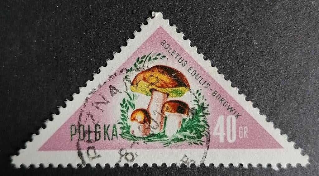 POLEN - paddestoelen 1959 mi. 1095  Verz.kst. 1,40, Verzenden, Polen, Gestempeld