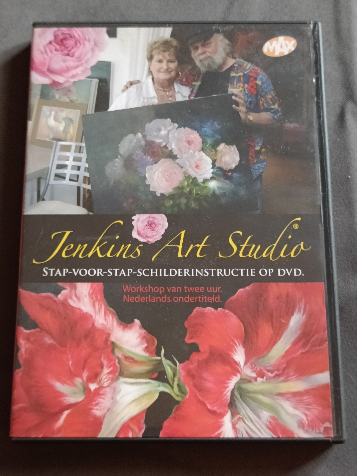 Jenkins Art Studio: Stap-voor-stap schilderinstructie DVD, Gebruikt, Alle leeftijden, Nederlands, Ophalen of Verzenden