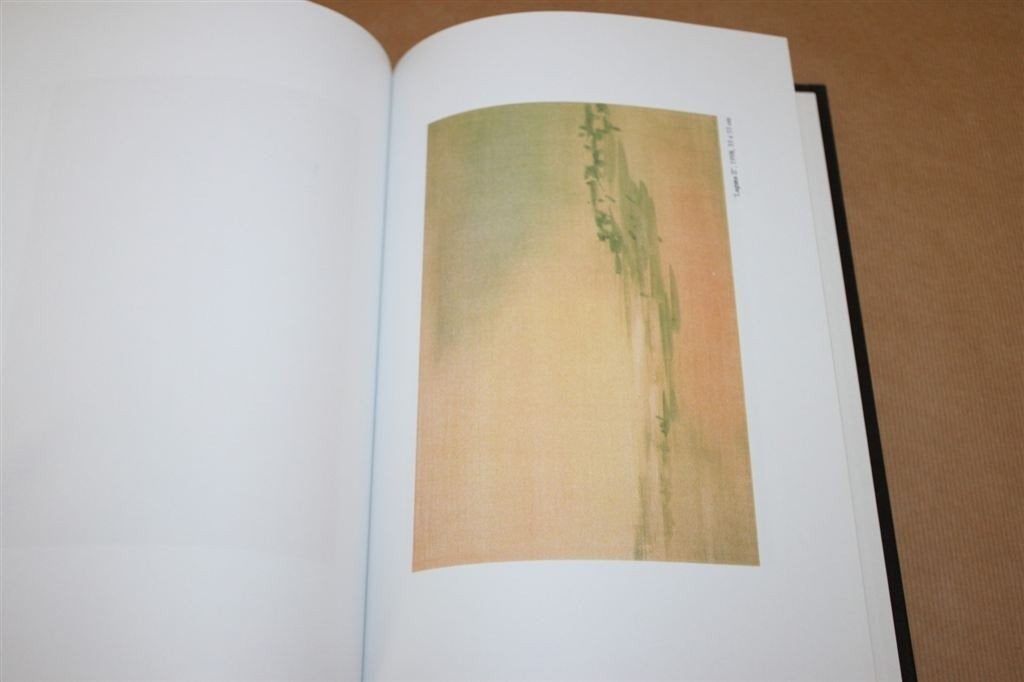 Een licht schrijvend penseel. Aquarellist Joop Kemp., Boeken, Kunst en Cultuur | Beeldend, Ophalen of Verzenden, Zo goed als nieuw