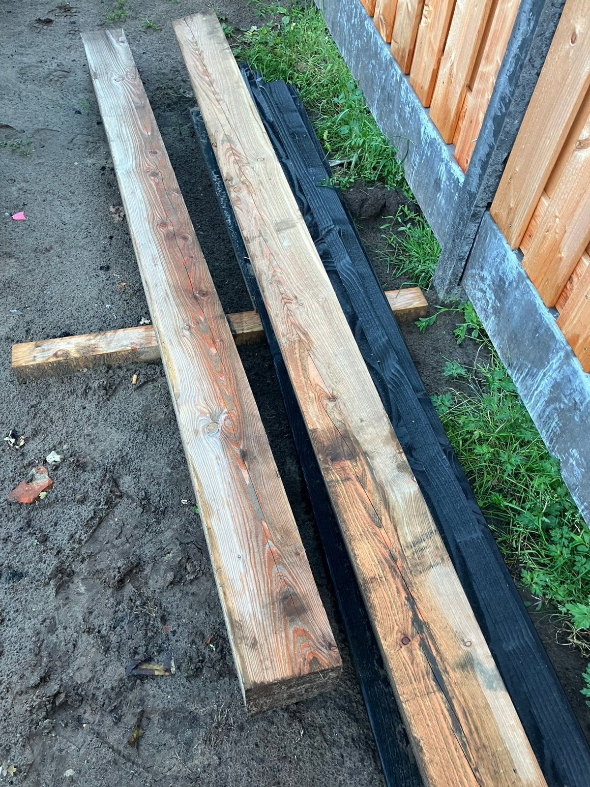 Douglas palen, Ophalen, Nieuw, 250 tot 300 cm, 50 mm of meer