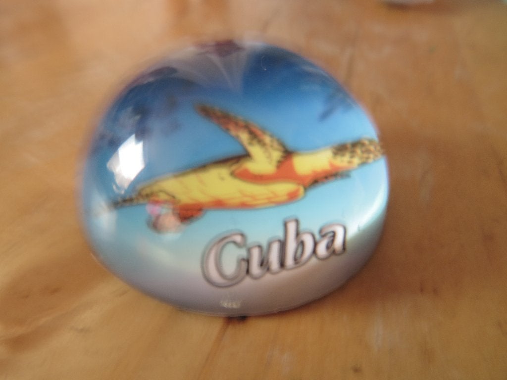 Toeristenitem cuba press papier  schildpad, Ophalen of Verzenden